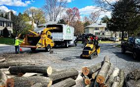 Best Aeration Services  in Elkhorn, CA