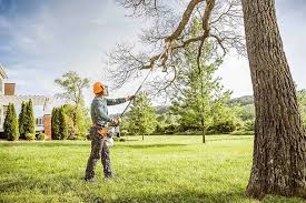  Elkhorn, CA Tree Care Pros